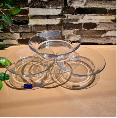 6-Piece Clear Glass Deep Plate Set